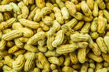 Tayland 'da kaynamış fıstık geçmişi.