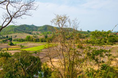 Chiang Rai, Tayland 'daki Mae Khachan manzarası.