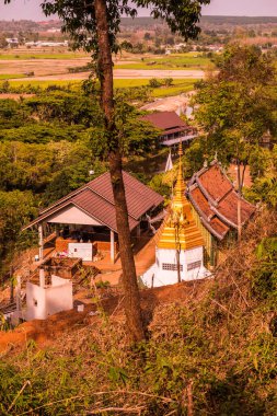 Tayland 'ın Chiang Rai bölgesinde pirinç tarlası olan Budizm binası..