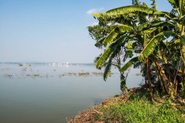 Kwan Phayao Gölü manzarası, Tayland.