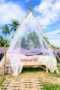 Beautiful Flower Garden In Chiang Mai Province, Thailand.