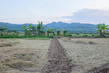 Agricultural Area at Si Mongkol Temple, Nan Province.