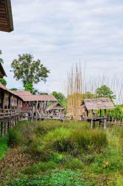 Nan Eyaleti, Pua Bölgesi 'nde Rice Field ile Küçük Ağaç Köprüsü.