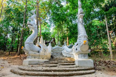 Naga Stairs of Wat Luang Khun Win in Chiangmai Province, Thailand.