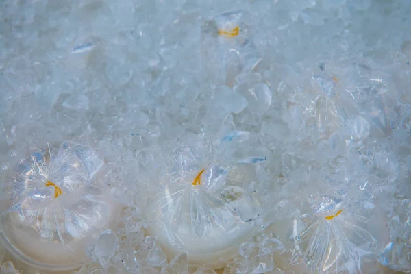 タイの氷の中のココナッツジュース — ストック写真