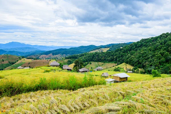 stock image Pa Bong Piang Rice Terraces at Chiang Mai Province, Thailand.