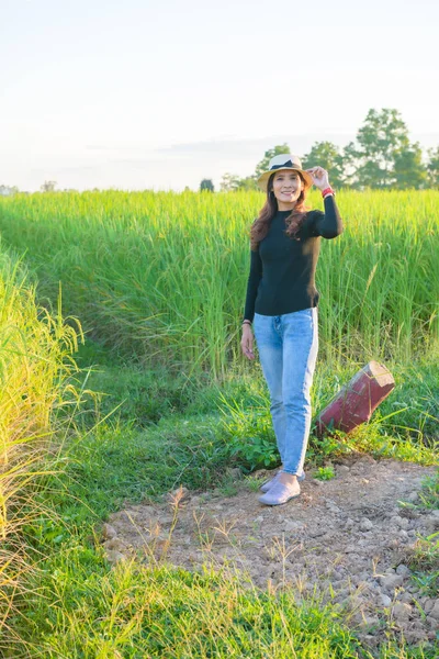 Thai Female Rice Field Background Phayao Province — Stock Photo, Image