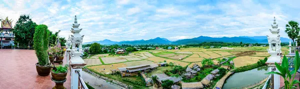 Vista Panoramica Del Campo Riso Tempio Phuket Provincia Nan — Foto Stock