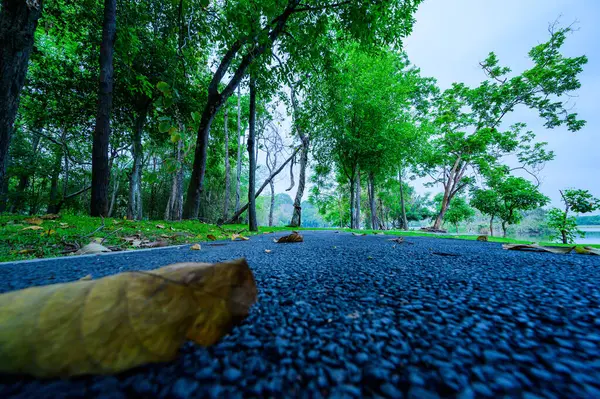 stock image Walkway beside Ang Kaew Reservoir in Chiangmai Province at Evening, Thailand.