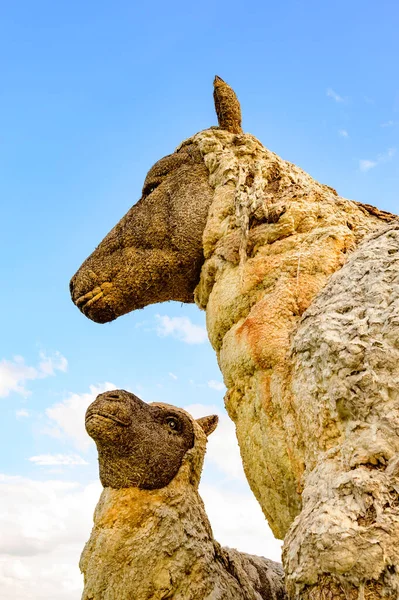 stock image Sheep Straw Puppet with Blue Sky at Chiang Mai Province, Thailand.