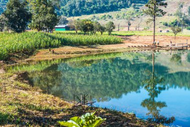 Tayland 'ın Chiangmai eyaletinde göl manzarası.