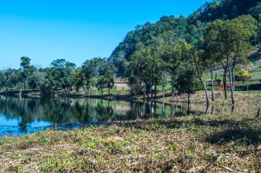Tayland 'ın Chiangmai eyaletinde göl manzarası.