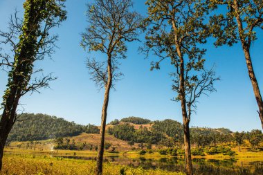 Tayland 'ın Chiangmai eyaletinde Moiuntain manzarası.