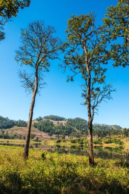 Tayland 'ın Chiangmai eyaletinde Moiuntain manzarası.