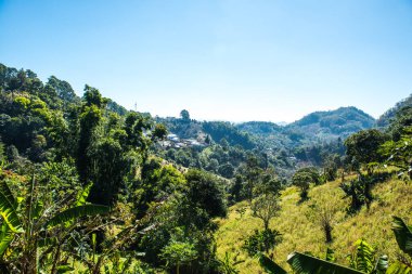 Tayland 'ın Chiangmai bölgesindeki dağların görüş açısı.