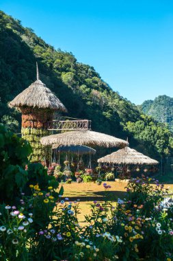 Doi Angkhang, Tayland manzarası.