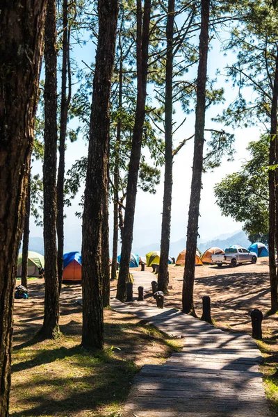 Camping Yard Mountain Thailand — Stock Photo, Image