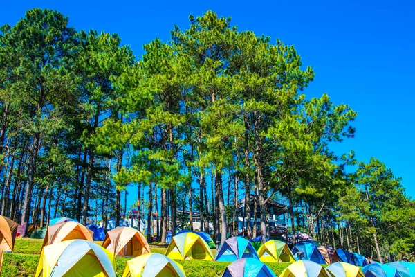 Camping Yard Montanha Tailândia — Fotografia de Stock
