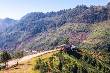 Manzara Görünümü Çay Çiftliği 2000, Tayland.