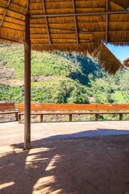 Manzara Görünümü Çay Çiftliği 2000, Tayland.