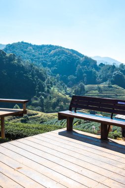 Manzara Görünümü Çay Çiftliği 2000, Tayland.
