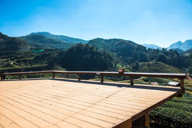 Manzara Görünümü Çay Çiftliği 2000, Tayland.