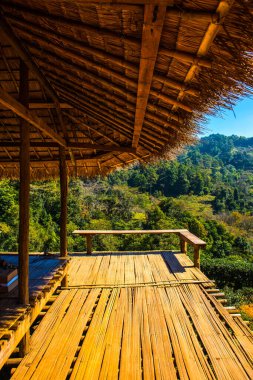 Manzara Görünümü Çay Çiftliği 2000, Tayland.