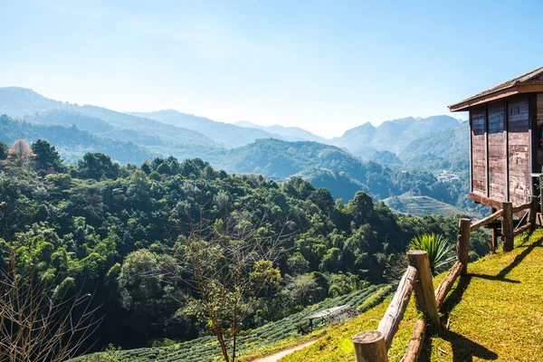 Vista Montaña Tea Plantation 2000 Tailandia — Foto de Stock