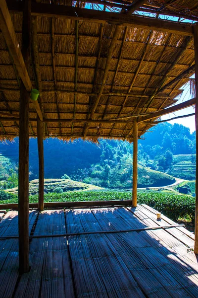 Çay Çiftliği 2000 Tayland Dağ Manzaralı Küçük Bir Huzurevi — Stok fotoğraf