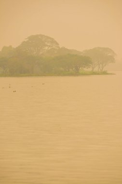 Kwan Phayao Gölü kış mevsiminde, Tayland.