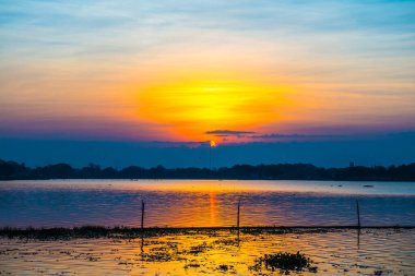 Sabah Kwan Phayao Gölü, Tayland.
