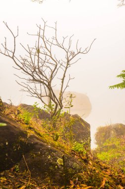 Tayland 'da sisli göl manzarası.