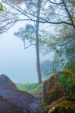 Tayland 'da sisli göl manzarası.