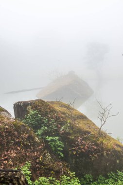 Tayland 'da sisli göl manzarası.