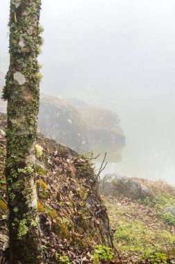 Tayland 'da sisli göl manzarası.