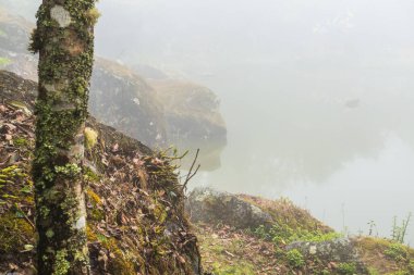 Tayland 'da sisli göl manzarası.