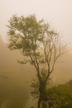 Tayland 'da sisli göl manzarası.