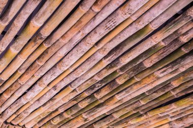 Dekorasyon için bambu, Tayland.