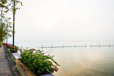 Kwan Phayao Gölü kış mevsiminde, Tayland.