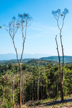 Prayodkhunpol Dağ Manzarası Wiang Kalong Tapınağı, Tayland.