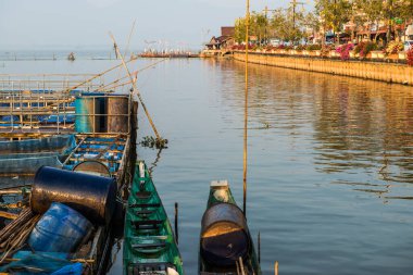 Kwan Phayao Gölü, Tayland.