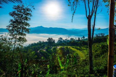 Phu Langka Ulusal Parkı, Tayland Güzel Dağ Manzarası.