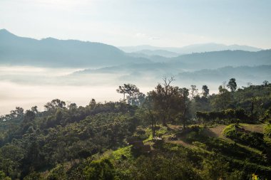Phu Langka Ulusal Parkı, Tayland Güzel Dağ Manzarası.
