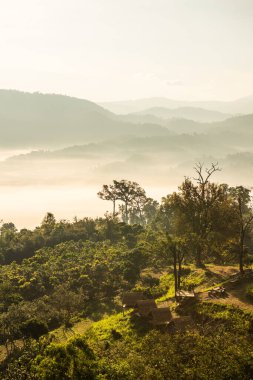 Phu Langka Ulusal Parkı, Tayland Güzel Dağ Manzarası.