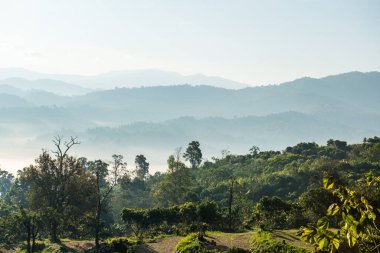 Phu Langka Ulusal Parkı, Tayland Güzel Dağ Manzarası.