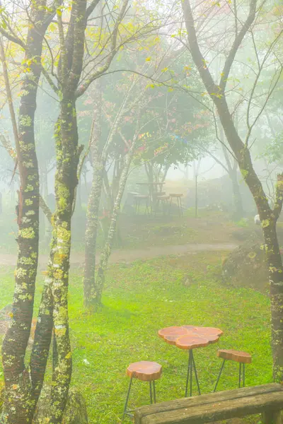 Giardino Con Nebbia Sulla Montagna Thailandia — Foto Stock