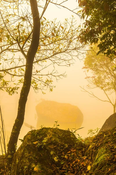 Vista Lago Con Niebla Tailandia Tailandia — Foto de Stock