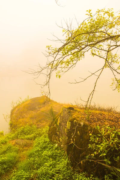 Lake View Fog Thai Thailand — Stock Photo, Image