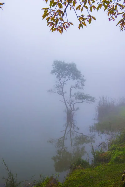 Widok Jezioro Mgłą Tajlandii Tajlandia — Zdjęcie stockowe