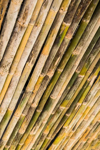 Bamboe Voor Decoratie Thailand — Stockfoto